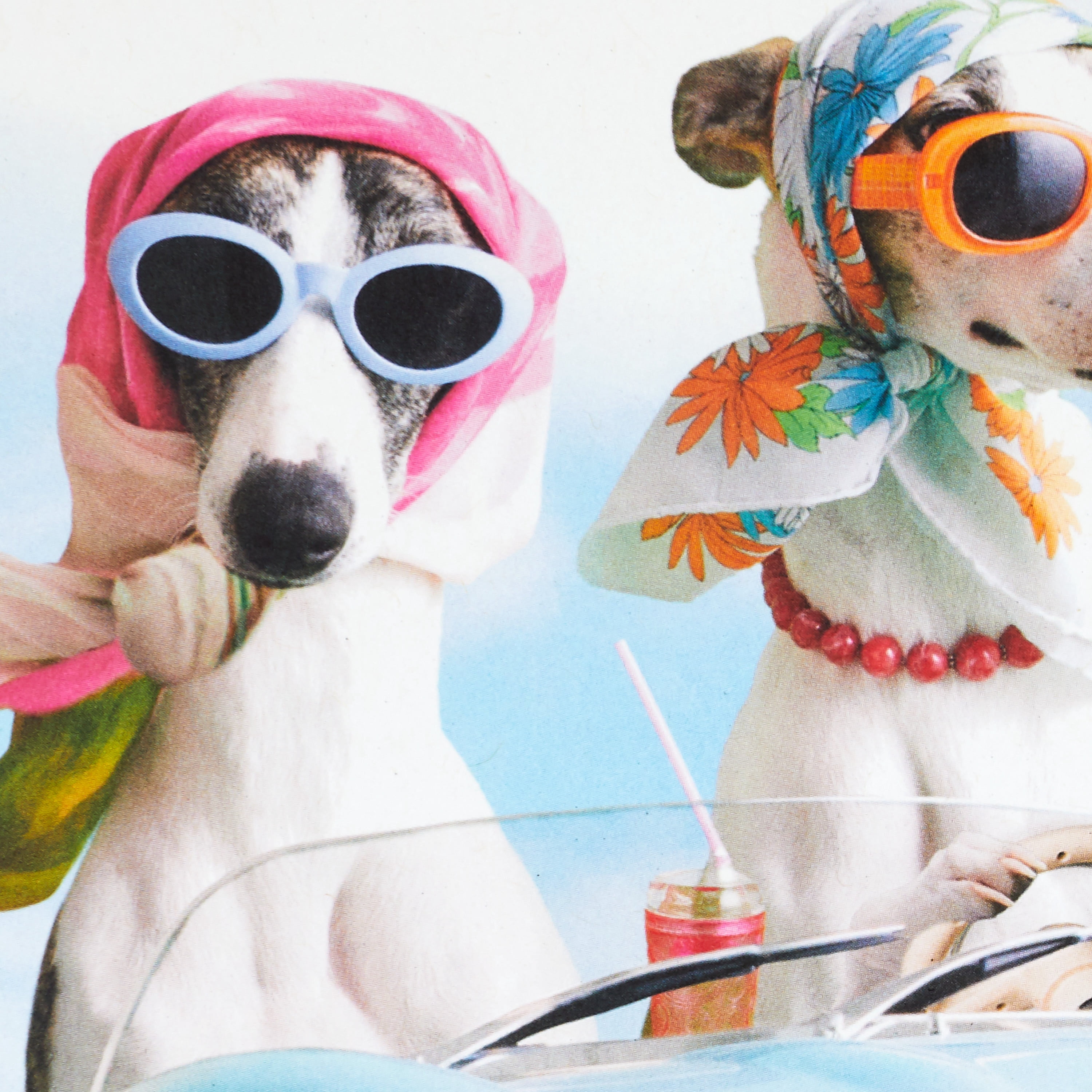 Hallmark Shoebox Funny Birthday Greeting Card for Her (Two Dogs in a Convertible)