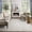 Ivory, variant on Nourison Casual 2' x 6' Light Grey Modern Indoor Rug