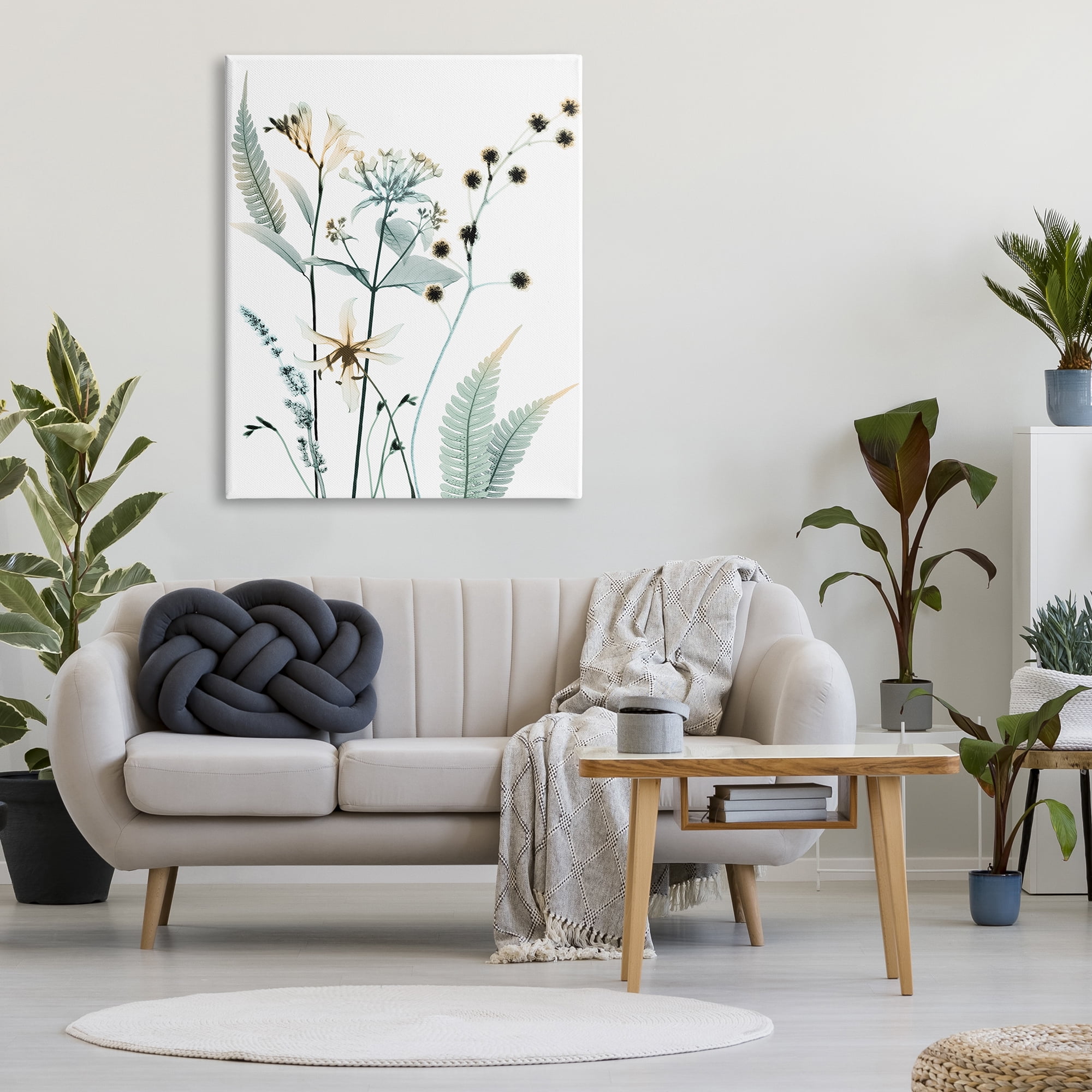 Stupell Industries Forest Garden Botanicals Translucent Plant Photography, 36 x 48, Design by Albert Koetsier