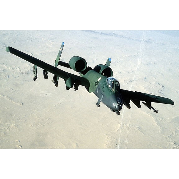 A-10A / A-10 Thunderbolt II Warthog - 12x18 Inch Laminated Aviation Poster - Stunning Detail and Bold Colors