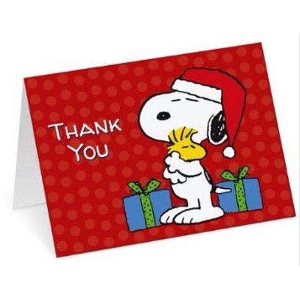 Peanuts Snoopy Woodstock Christmas Thank You Note Cards Set Of 10 Cards Envelopes Walmart Com