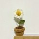 thumbnail image 1 of Flores de Punto Hechas a Mano Tejidas en Maceta con Ganchillo de Rosa, Decoraciones de Oficina de Flores Simuladas Hechas a Mano Producto de Lana Acabada para el Hogar Del Coche Y la Fiesta, 1 of 4