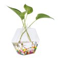 thumbnail image 1 of Hanging Plants Flowers Glass Vase Wall Hydroponic Aquarium Container Home Decor #3, 1 of 6
