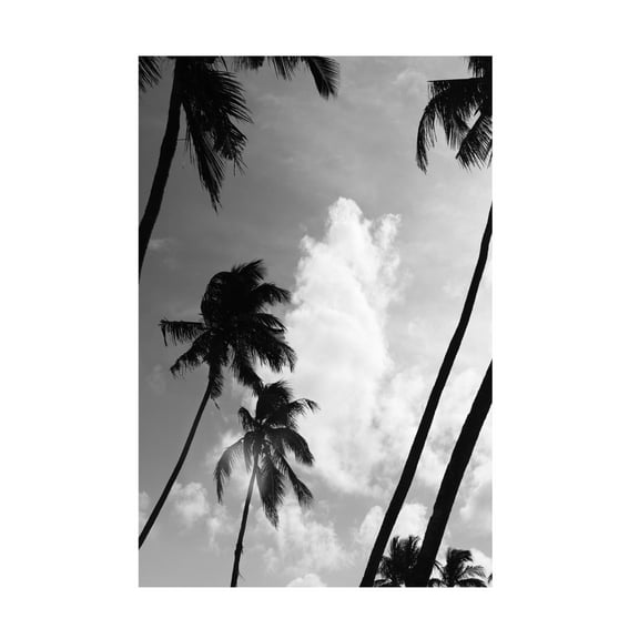 Trademark Fine Art Shot by Clint Coco Island No2 Canvas Wall Art