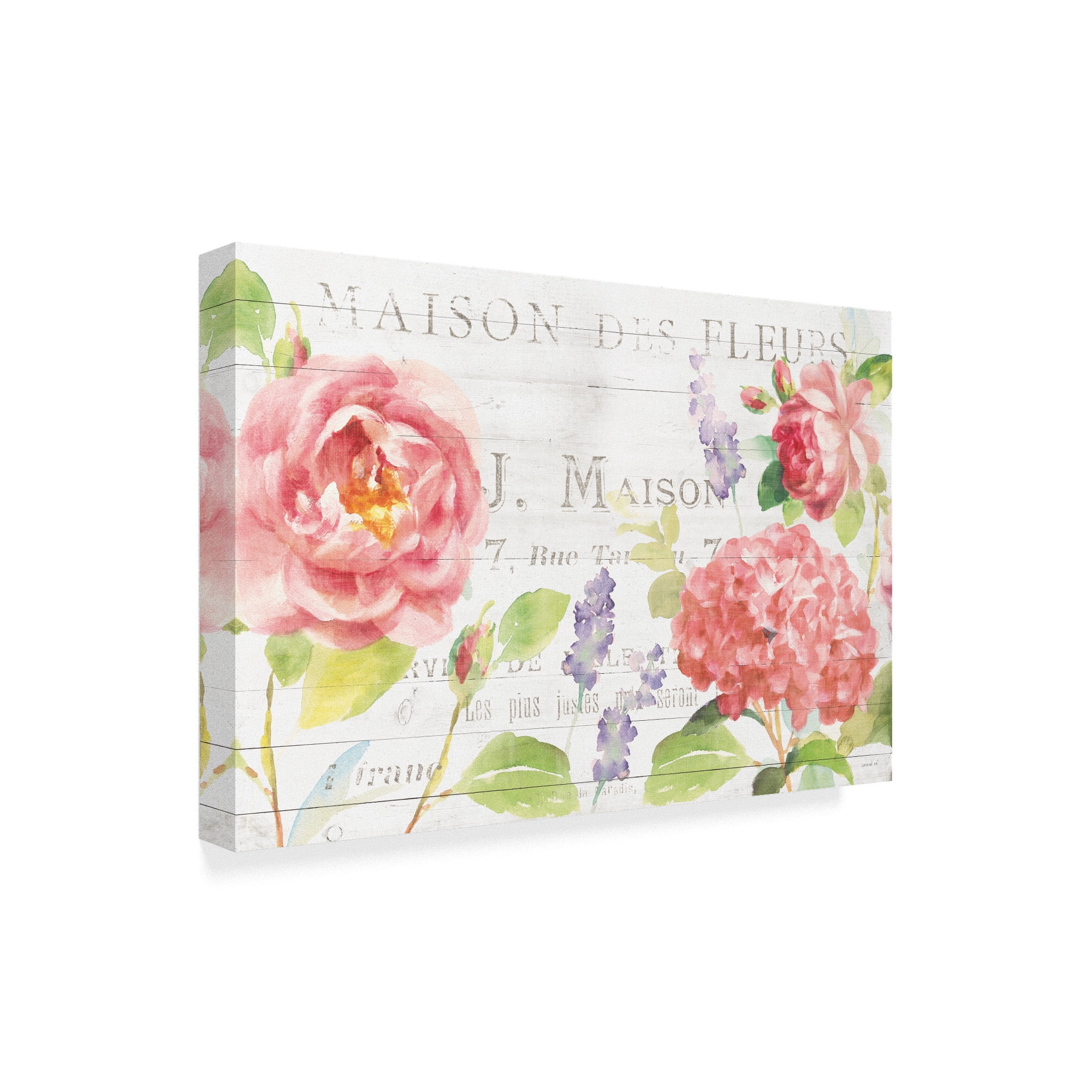 Trademark Fine Art 'Maison Des Fleurs I' Canvas Art by Danhui Nai