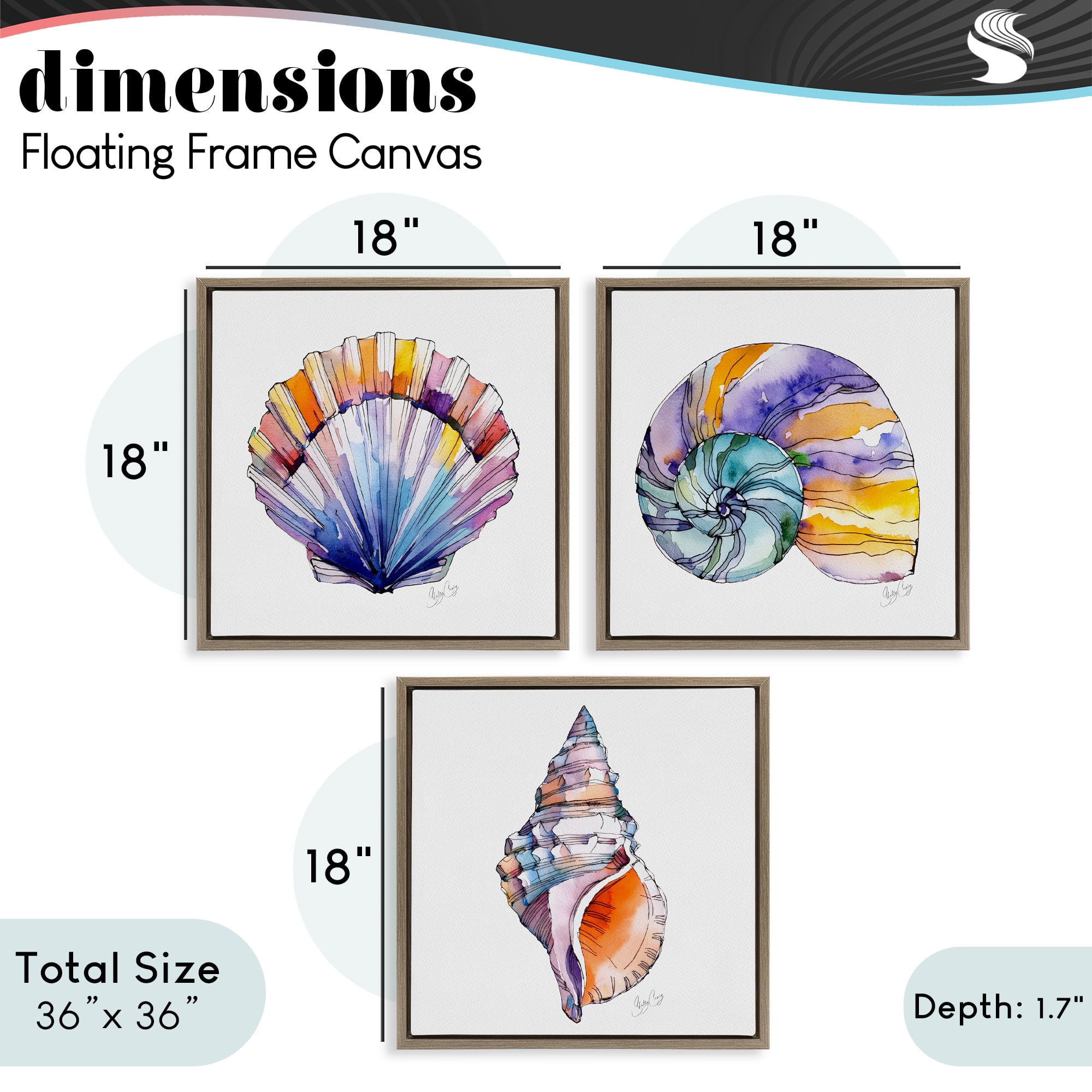 Stupell Industries Sunlit Seashells Watercolors 3 Piece Brown Framed Floater Canvas Set, design by Shelly Craig
