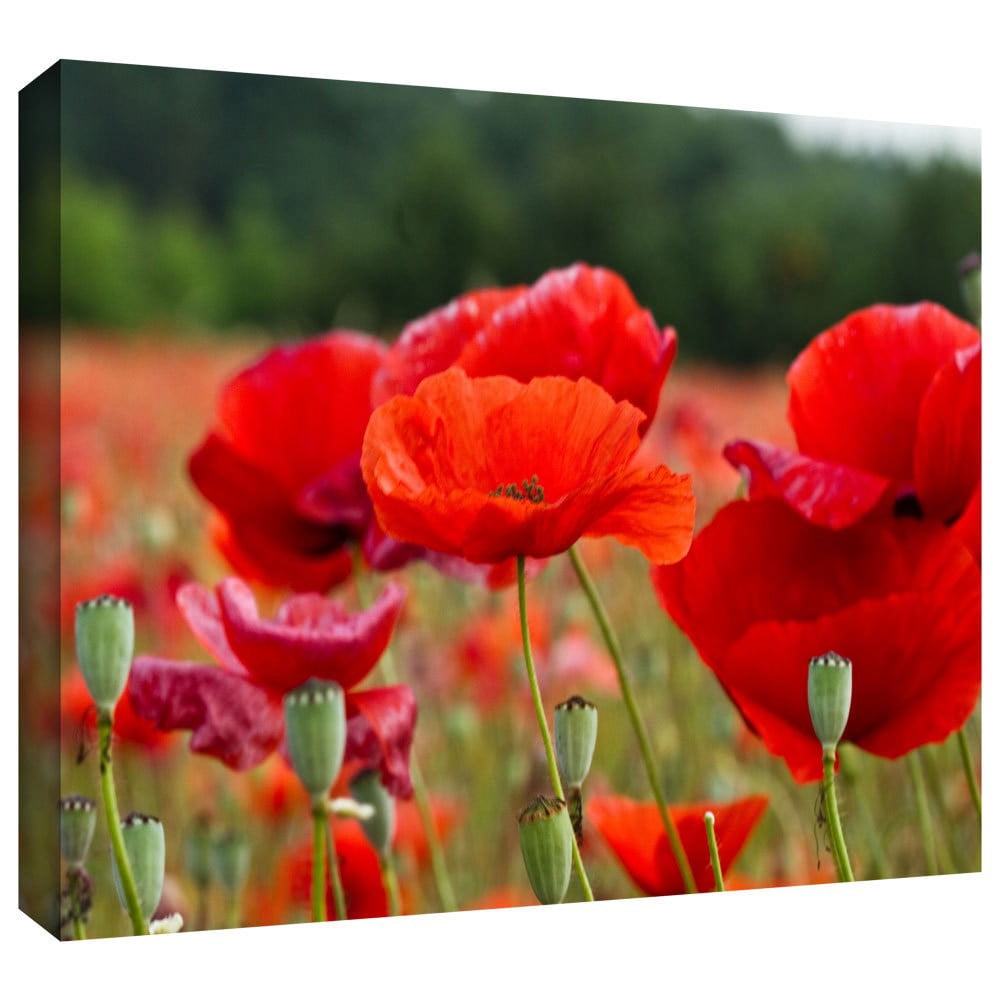Lindsey Janich "3986" Gallery-Wrapped Canvas