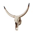thumbnail image 3 of Long Horned RAM Decor Skull Halloween Decoration Wall Decor Skull Decor Longhorn Skull Figurines Crafts Head For Holiday Bedroom B 50x45x9.5cm, 3 of 8