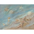 thumbnail image 3 of Britton, Pam 14x11 Black Modern Framed Museum Art Print Titled - Seashore Star I, 3 of 5