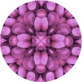 thumbnail image 1 of Ahgly Company Tapis Rond Lavable en Machine Intérieur Transitionnel Moyen Violet Rouge Rose, 6 Pieds Rond, 1 of 7