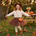 thumbnail image 5 of Girls Ballet Skirt Layered Tulle Tutu, Elastic Waist Fluffy Soft Princess Tutu, Toddler Kids Dance Dress Up Costumes, 5 of 7