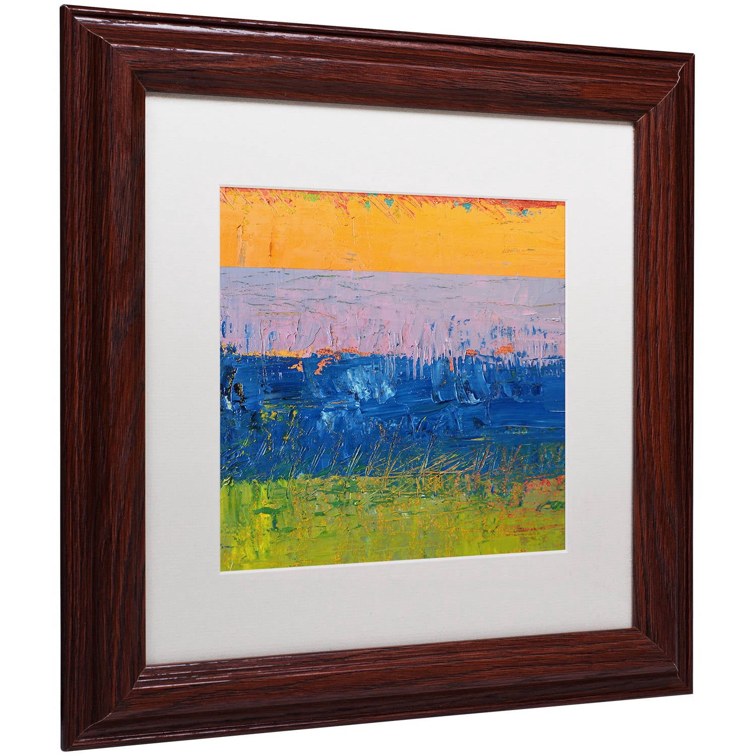 Trademark Fine Art "Thistle Field" Canvas Art by Michelle Calkins, White Matte, Wood Frame