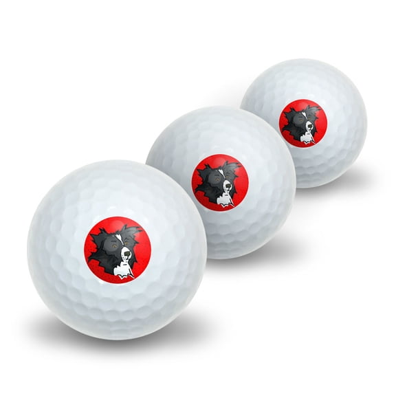 Border Collie of Excellence Novelty Golf Balls 3 Pack