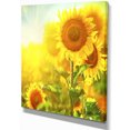 thumbnail image 1 of Designart - Bright Sunflowers Blooming on Field - Large Animal Canvas Art Print, 1 of 2