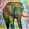 thumbnail image 2 of Dean Russo Collection 26x26 White Modern Wood Framed Museum Art Print Titled - Elephant Torn, 2 of 4