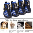 thumbnail image 4 of Greeniant Zapatos para mascotas Botas deportivas para interiores Malla Transpirable Clásico Algodón Cremallera Calzado para mascotas Ropa para mascotas azul cinco Greeniant PT000055-10B, 4 of 6