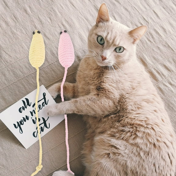 LULULION 4Pcs Cotton Rope Cat Mouse Toys Indoor Cats Assorted Color Chewing