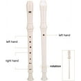 Recorder Instrument, 8 Holes High Pitch Soprano Recorder Detachable