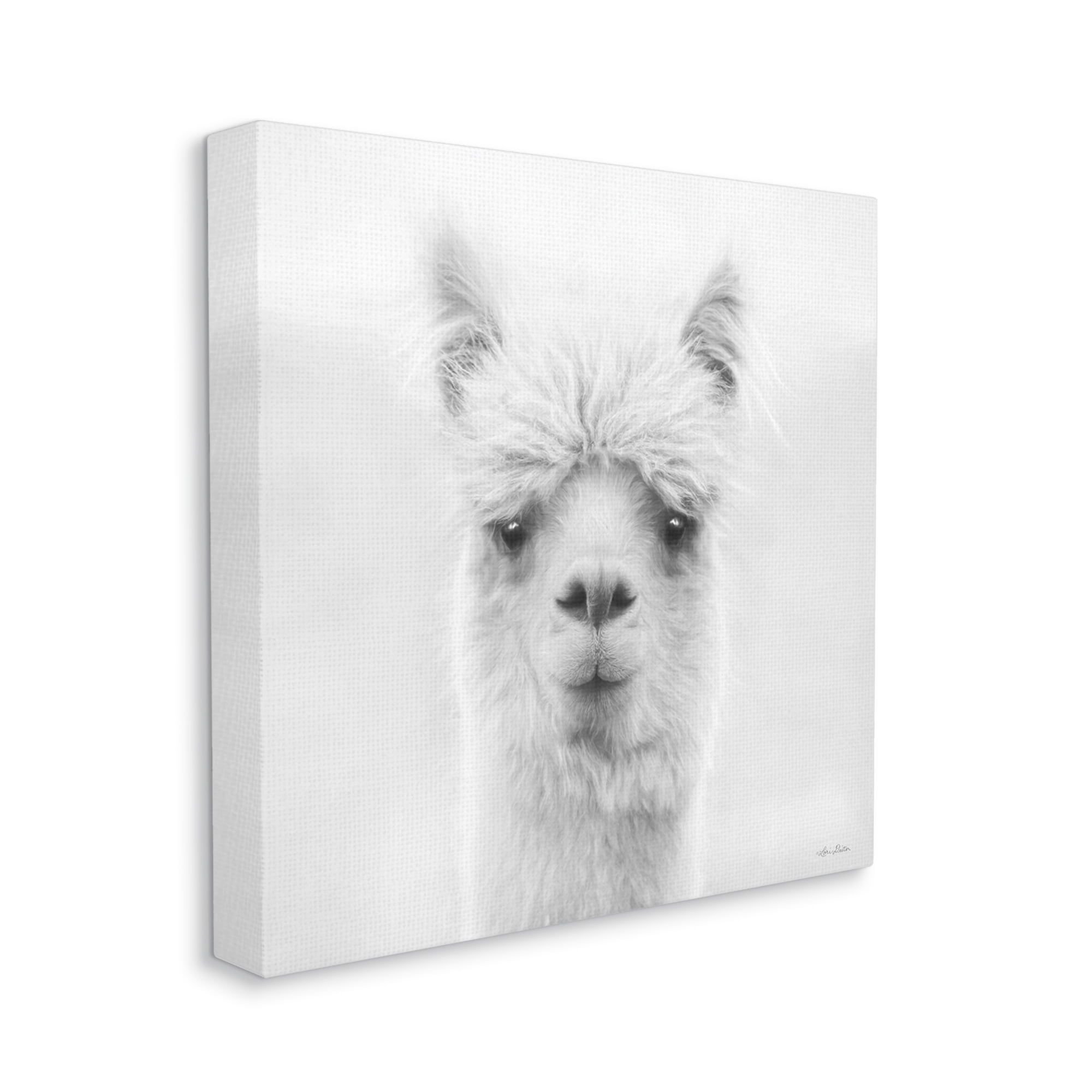 Stupell Alpaca Portrait Country Farm Animal Animals & Insects Photography Gallery Wrapped Canvas Print Wall Art