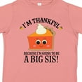 thumbnail image 4 of Inktastic Thanksgiving Big Sis Announcement Girls Toddler T-Shirt, 4 of 5