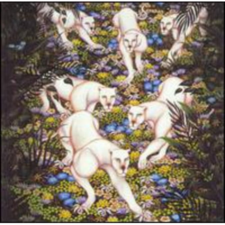 Various Artists - White Party Vol.2 - Music & Performance - CD