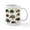 White, variant on CafePress - Tortoises Of The World Mug - 11 oz Ceramic Mug - Novelty Coffee Tea Cup