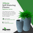 thumbnail image 6 of Algreen Athena 28" Self Watering Planter, Charcoalstone Resin, 6 of 10