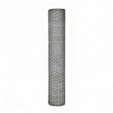 Mazeland 501150362 Poultry Netting - 36 x 2 in. x 150 ft.