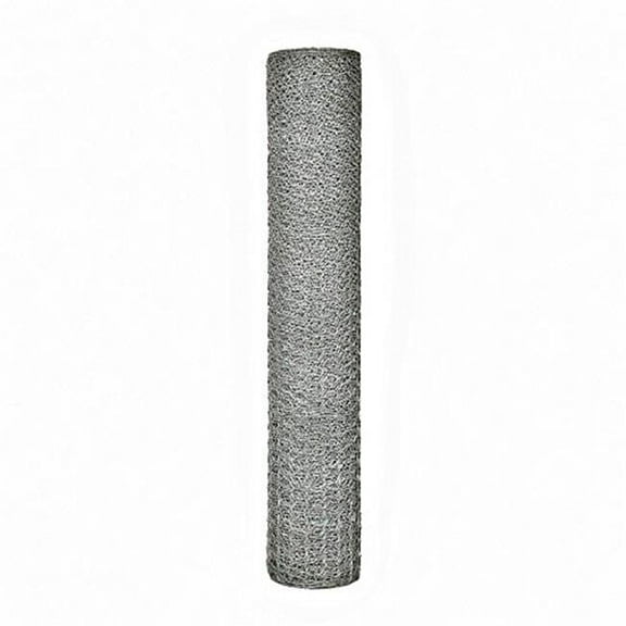 Mazeland 501150362 Poultry Netting - 36 x 2 in. x 150 ft.