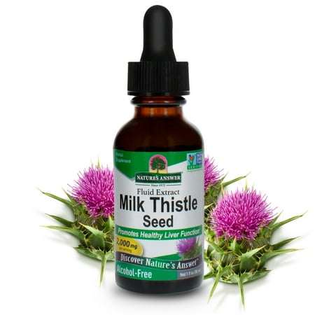 Nature's Answer Milk Thistle Extract, 1 Fl Oz