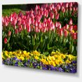 thumbnail image 2 of Tulipes Rouges avec Fleurs Jaunes et Violettes - Grande Impression sur Toile, 2 of 3