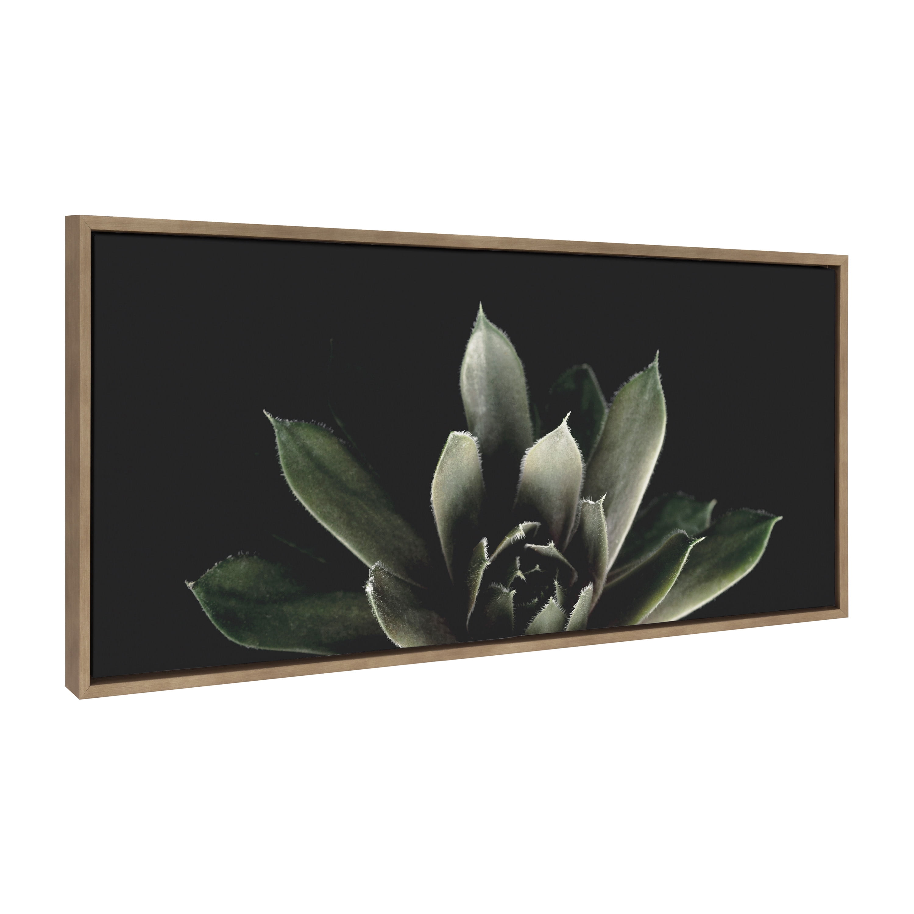 Kate and Laurel Sylvie Succulent 8 Framed Canvas Wall Art by Emiko and Mark Franzen of F2Images 18x40 Gold Decorative Botanical Art for Wall