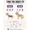 thumbnail image 6 of Pet Dinosaur Costume, Soft Plush T-Rex Skeleton Halloween Costume for Dogs | Cosplay Clothes for Medium & Large Dog and Cats Funny Adorable Glow-in-the-Dark Dino Outfits Big Breeds For Party Family, 6 of 7