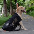 thumbnail image 3 of Dog Carrier Backpack For Small And Medium Pets Front Facing Adjustable Dog Backpack Carrier Fully Ventilated, 3 of 5