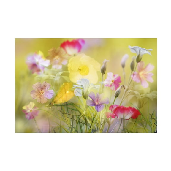 Canvas Wall Art - Ludmila Shumilova 'Tiny Garden In A Summer Field' Wall Art for Living Room, Bedroom, or Office Décor by Trademark Fine Art - 19 x 12 Inches