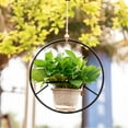 thumbnail image 4 of Better Homes & Gardens Round Iron Black Plant Hanger, 16.1" Diameter x 7.9" Width, Indoor Use, 4 of 7