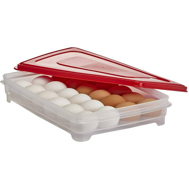 Rubbermaid Deviled Egg Keeper Tray Food Storage Red Container Hold 20 Jumbo  Eggs