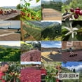 thumbnail image 5 of Republic - Roasted by Little City Coffee Roasters - Freshly Ground Coffee - 5lb Bag, 5 of 6