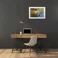 thumbnail image 3 of Paulson, Don 32x23 White Modern Wood Framed Museum Art Print Titled - Mexico, Tecate Ripples in pool, 3 of 4