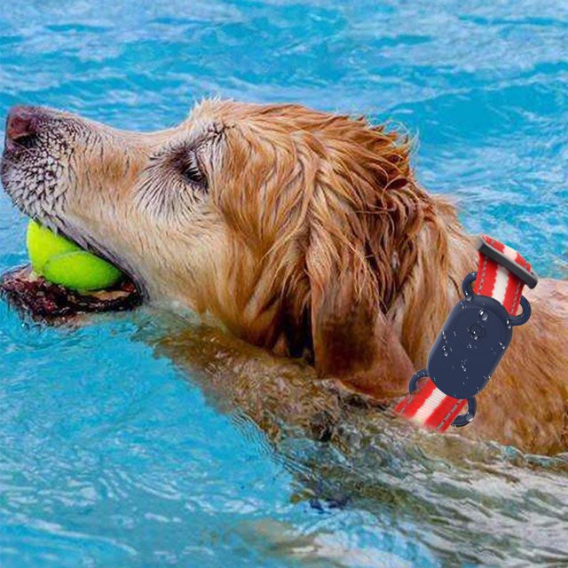 Funda de Silicona a Prueba de Polvo Soporte para Collar de Perro Anticaída para Samsung Galaxy SmartTag2
