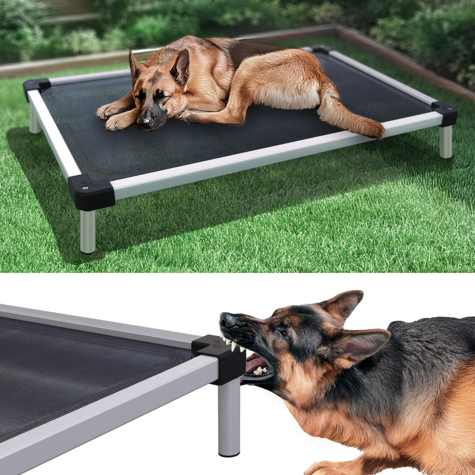 FXW TitanNest Chew-Proof Elevated Dog Bed, Raised Cot for Indoor/Outdoor/Camping Use, Durable & Waterproof Cooling Pet Bed for Large Dogs, 47.0"L x 29.0"W x 7.3"H, Black