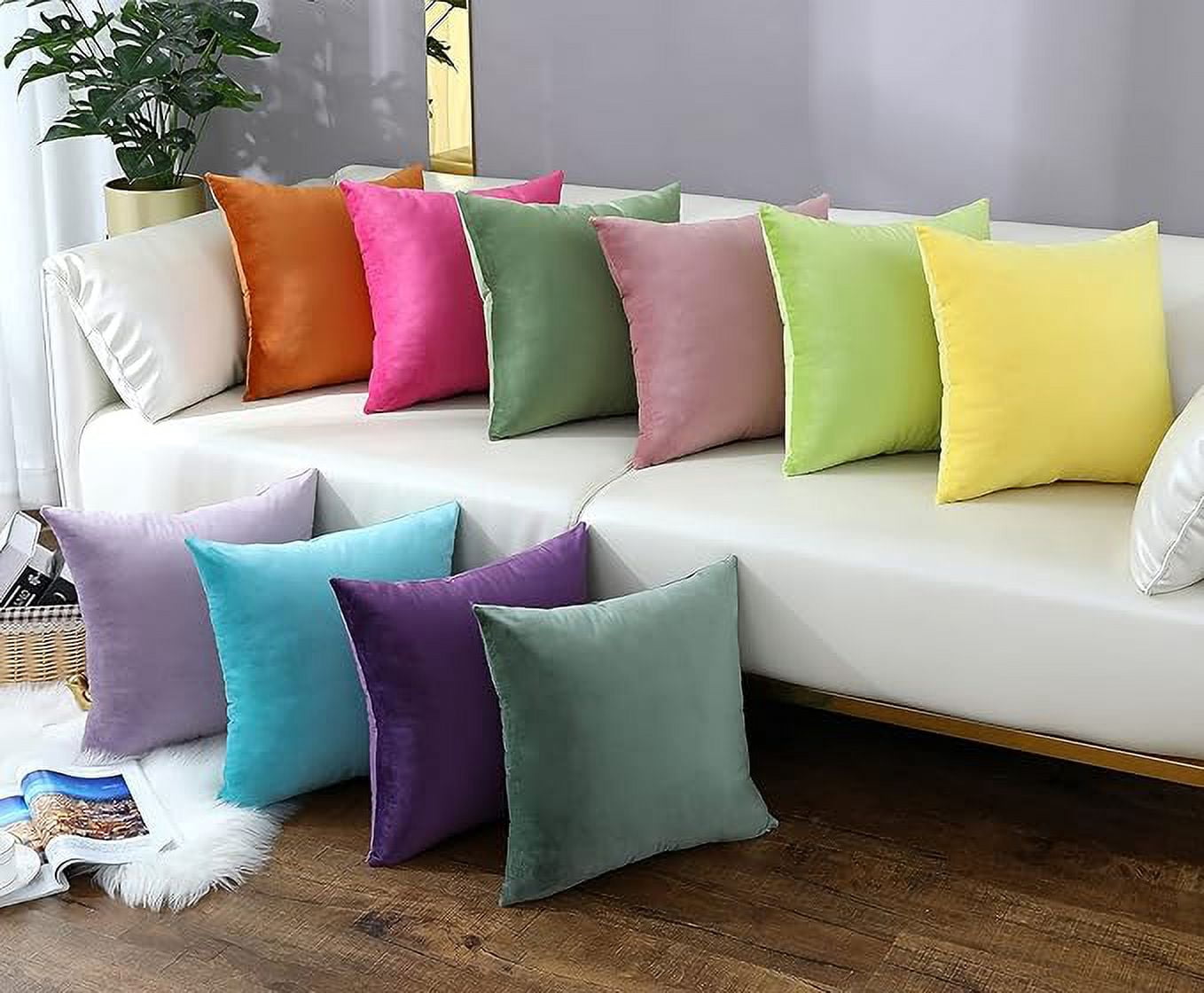 Cterwk Set of 2 Soft Velvet Throw Pillow Cover with Zipper, Decorative Solid Square Cushion Cases for Bedroom Car Sofa Couch, 20 x 20inch
