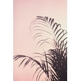 thumbnail image 2 of 1x Studio III 11x14 Black Ornate Wood Framed with Double Matting Museum Art Print Titled - Palm Leaves_1, 2 of 4