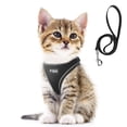 thumbnail image 1 of Arnés para mascotas con correa Fida Comfy para perro y gato XXS negro, 1 of 7
