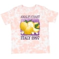 thumbnail image 3 of Inktastic Amalfi Coast Italy 1997 Boys or Girls Toddler T-Shirt, 3 of 5