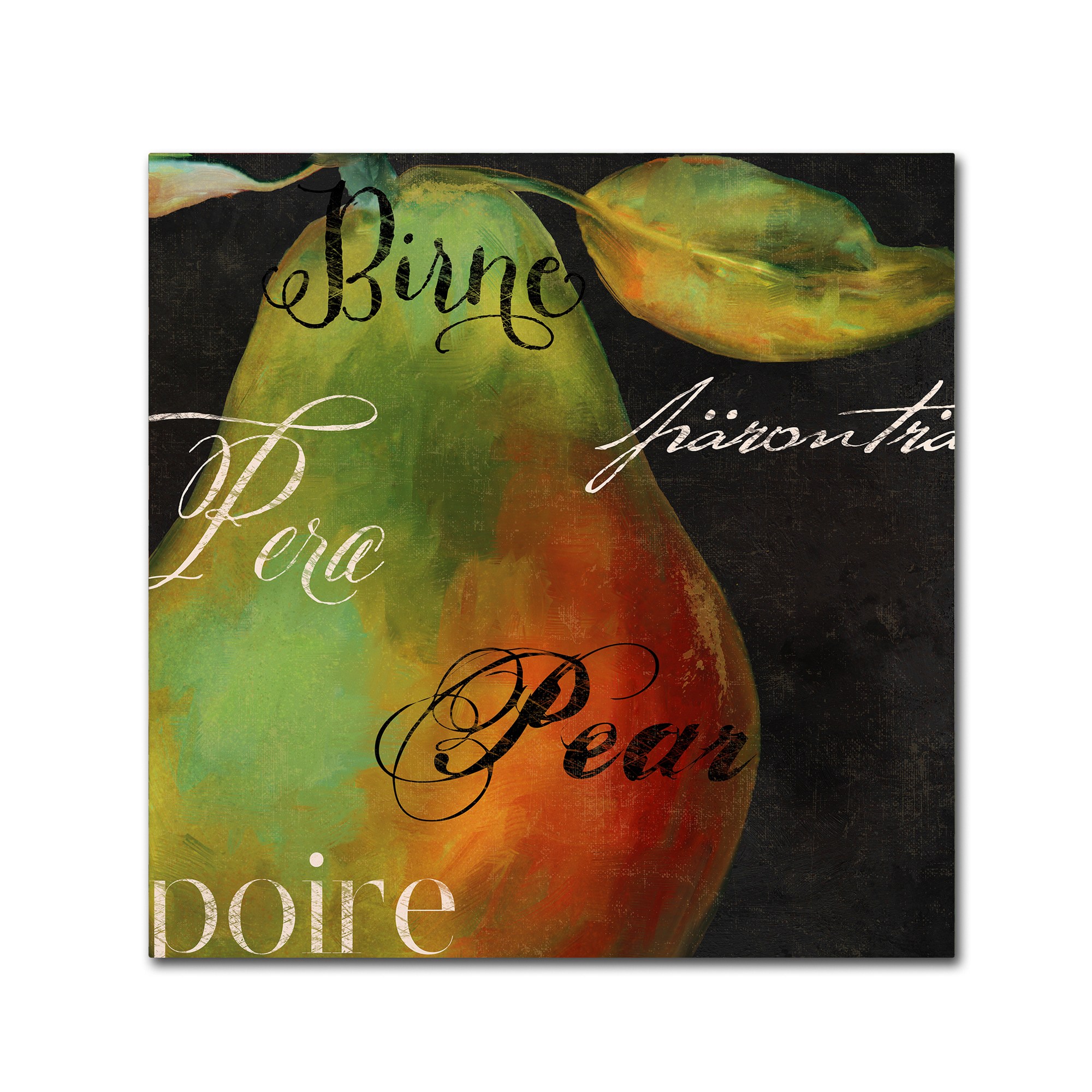 Trademark Fine Art "Painted Pear I" Canvas Art by Color Bakery