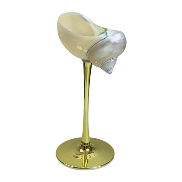 Copa de champán con forma de caracol, copas de martini, vasos de cóctel, bonitas, regalos, copas de champán hechas a mano, copas de boda para mujeres y hombres B