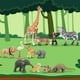 thumbnail image 5 of Figuras de animales Toymany Realistic Jungle & Zoo Animals x12, 5 of 9