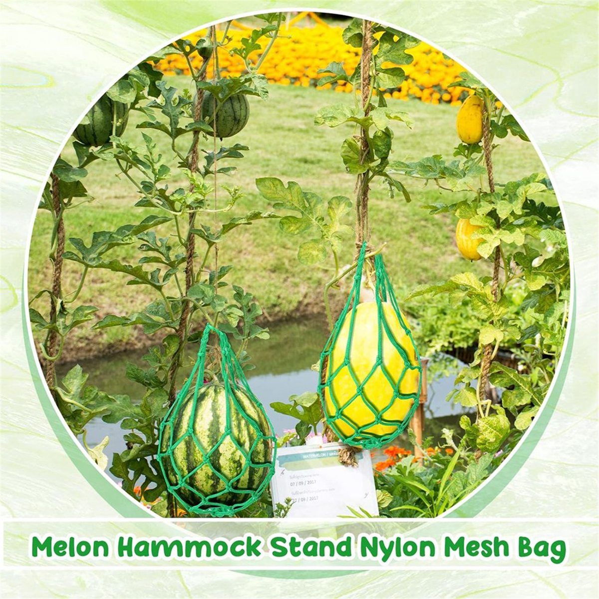 12 Pcs Watermelon Net Melon Hammock Melon Cradle Plant and Garden Supports Pumpkin Support Hanging Bag Protects Green