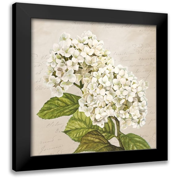 Remy, Dellal 12x12 Black Modern Framed Museum Art Print Titled - Hydrangeas III (Neutre)